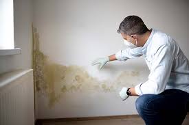 Best Water Damage & Mold Remediation  in North Pearsall, TX